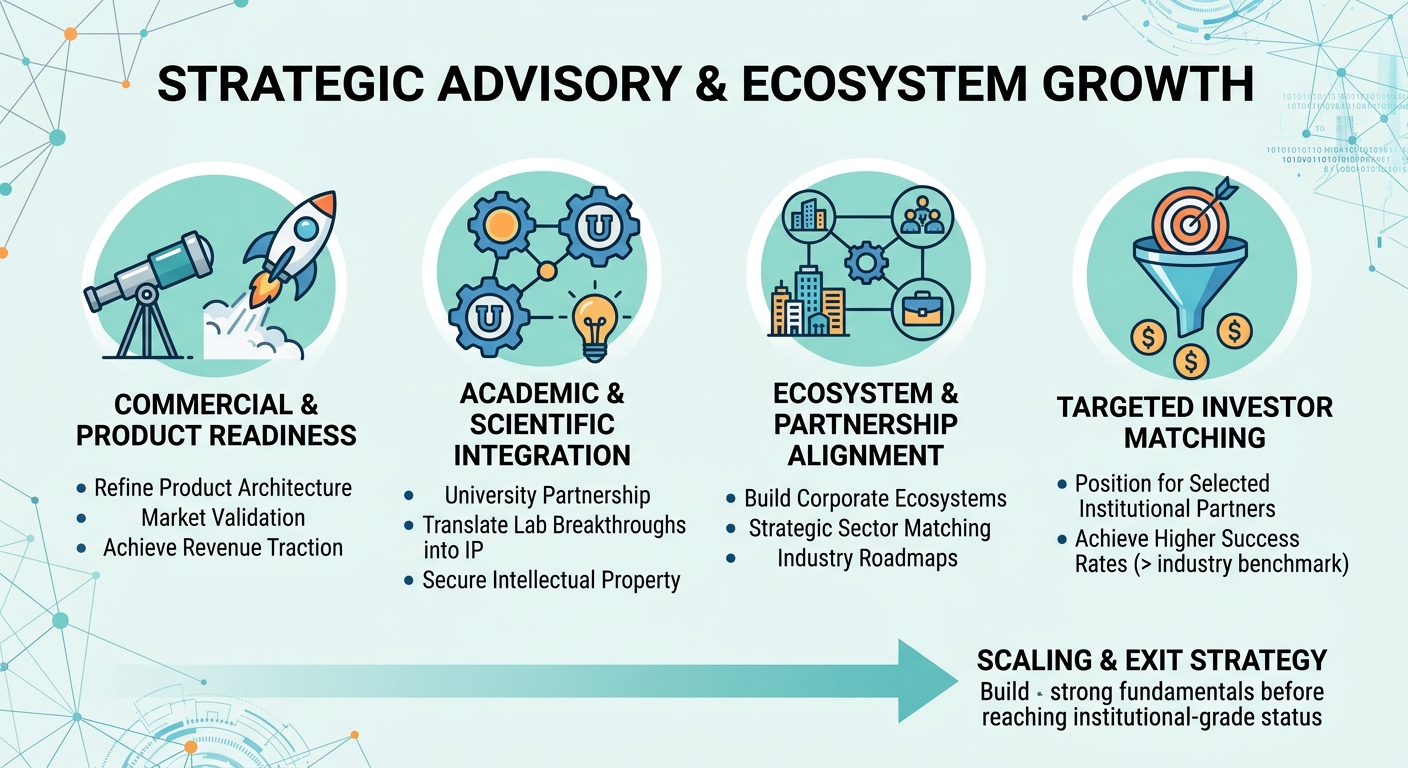 Strategic Advisory Beyond Traditional Venture Capital for Scale-Ups and Research Spin-Outs Belgium